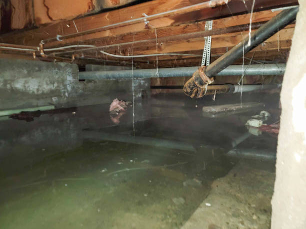 Water damage restoration experts in OR