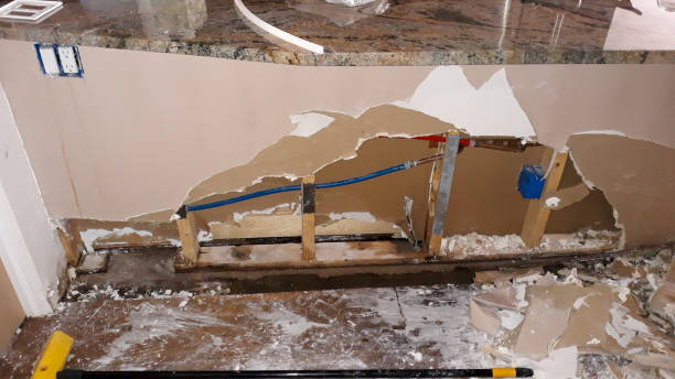 Best Mold removal after water damage  in Astia, OR