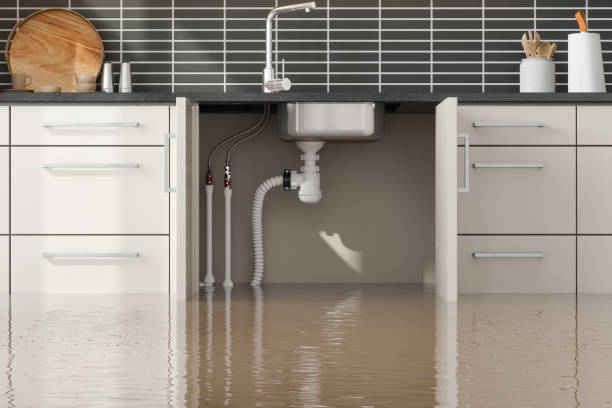 Best Professional water damage repair  in Astia, OR