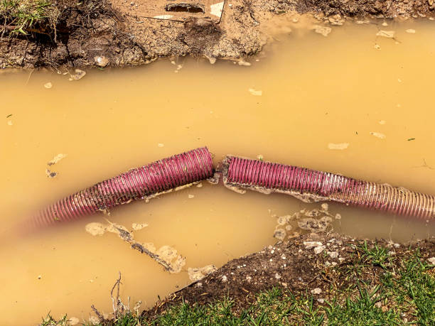 Best Carpet water damage restoration  in Astia, OR